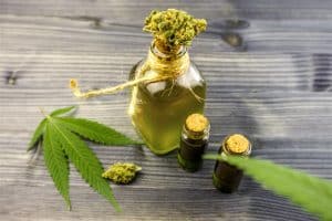 CBD Bio et Sources de Qualité