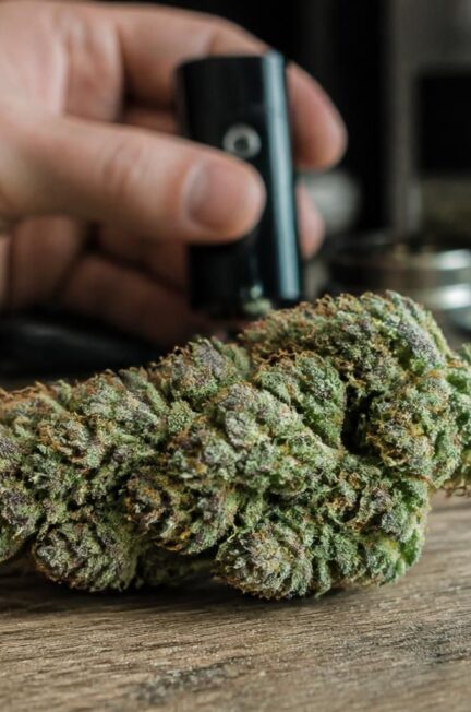 découvrez tout ce qu'il faut savoir sur la consommation de la fleur de cbd : ses bienfaits, ses utilisations, et conseils pour en profiter en toute sécurité.